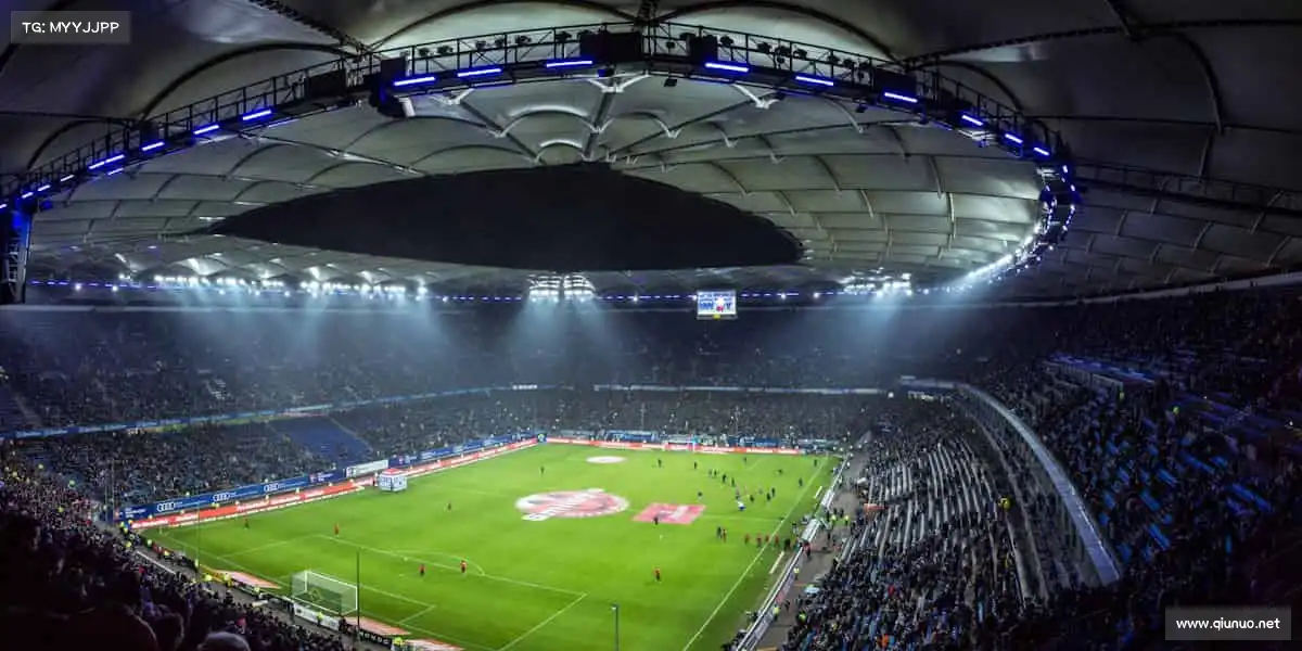 行业领先的理由